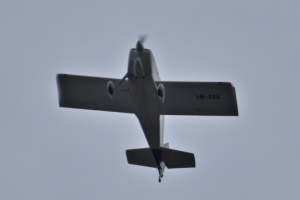Småfly 2019 oktober