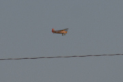 Morten 27 oktober 2019 - Absolutt siste fly over Høyenhall i kveld, hadde jeg bare hatt han på ledningen. I ettertid så kan jeg fortelle at dette er LN-TSN som er en Noorduyn Norseman fra 1944