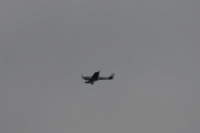 Morten 26 september 2019 - LN-YKS Aerospool WT-9 Dynamic over Høyenhall. Det er Kjeller Sportsflyklubb som drifter dette