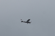 Morten 24 august 2019 - LN-RAL over Høyenhall, nå er jeg på fornavn med dem, har vært på Kjeller flyplass. Dette er en Reims-Cessna F172H Skyhawk fra 1970