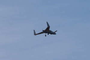Småfly 2020 april