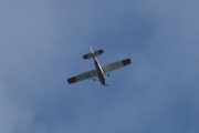 Morten 1 august 2020 - SE-LZD over Høyenhall