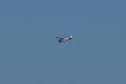 Morten 17 august 2020 - Småfly over Høyenhall, jeg ser den nesten