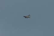 Morten 18 august 2020 - Småfly over Høyenhall, sent på kvelden og alt for langt unna