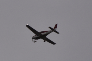 Småfly 2020 januar