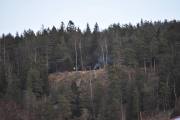 Morten søndag 19 januar 2020 - Det er mens jeg går tur med moren min at jeg ser disse flyene over Grefsen. Jeg tar et bilde av noen som koser seg oppe ved Grefsenåsen