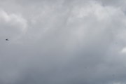 Morten 2 juli 2020 - LN-NRO og M-NGSN over Høyenhall, et fly på venstre side og et som kommer imot oss på høyre side