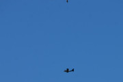 Morten 30 juli 2020 - G-OXFG over Høyenhall, snakker om å være uheldig. Ser du fuglen oppe i bilde?