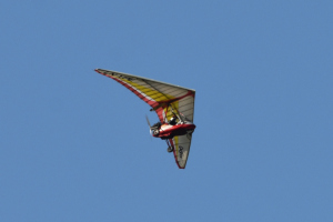 Småfly 2020 juni