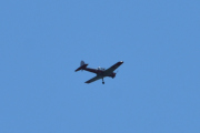 Morten 14 juni 2020 - Flydagen 2020, og når jeg kom hjem hadde jeg over 500 bilder