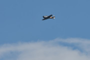 Morten 16 juni 2020 - Småfly over Høyenhall, den kjenner vi igjen. Det er Nedre Romerike Flyklubb som kommer