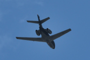 Morten 19 juni 2020 - Jagerfly over Majorstuen