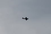 Morten 22 mai 2020 - LN-TEX over Høyenhall