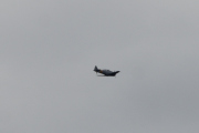 Morten 22 mai 2020 - LN-TEX over Høyenhall