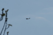 Morten 22 mai 2020 - Diamond DA-40 over Høyenhall, litt for opptatt med andre ting, så er for sent ute