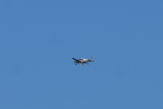 Morten 3 mai 2020 - G-EVEN over Høyenhall, jeg er ikke sikker, men tror det er en Cirrus SR22 GTS fra 2006