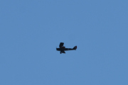 Morten Pinseaften 30 mai 2020 - LN-BDM over Høyenhall. Deg har vi også sett i dag, enten så er du for langt unna eller så blir jeg slappere