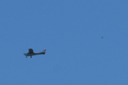 Morten Pinseaften 30 mai 2020 - Cessna over Høyenhall. Jeg tar deg med en fugl, men du er for langt unna