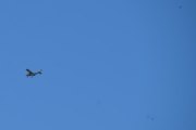 Morten 1. pinsedag 31 mai 2020 - LN-NRF over Høyenhall, ikke bare en - men to