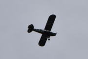 Morten 8 mai 2020 - Grasshoppere