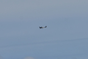 Morten 9 mai 2020 - Diamond DA-40 over Høyenhall, siste flyet i dag og det var for langt unna