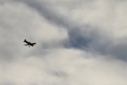 Morten 14 november 2020 - LN-ABA med en oppvisning over Høyenhall, men vent litt...
