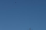 Morten 27 november 2020 - LN-NPZ over Høyenhall