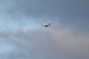 Morten 7 november 2020 - Mikrofly over Høyenhall, så går det når verandadøren er lukket