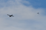 Morten 11 oktober 2020 - Et fly og en fugl over Høyenhall, men hva gjør det - jeg tar den sammen med en fugl