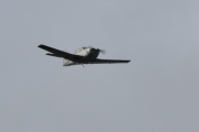 Morten 11 oktober 2020 - LN-HOK over Høyenhall, det er en Rockwell Commander 114A som Helikopterdrift Invest eier