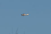 Morten 23 april 2021 - Ukjent fly over Høyenhall