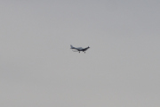 Morten 3 april 2021 - Ukjent fly over Høyenhall