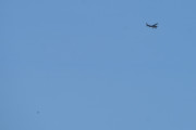 Morten 13 juni 2021 - Cessna over Høyenhall, men han her fikk jeg med en fugl da