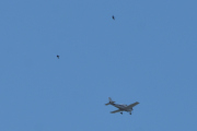 Morten 4 juni 2021 - SE-LRO over Høyenhall, og når du får den med to låvesvaler så er jeg fornøyd :-)