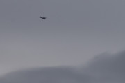 Morten 13 november 2021 - Småfly over Høyenhall, må være et Cessna, men det er for langt borte