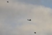 Morten 26 november 2021 - LN-NRF over Høyenhall, jeg fikk med et par fugler også men de ser ut som kuler