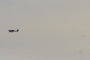 Morten 28 november 2021 - Småfly og fugler over Høyenhall, og her passerer dem fuglene på god avstand