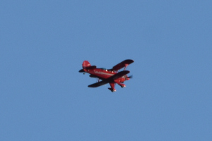 Småfly 2021 august
