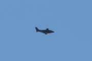 Morten 1 september 2021 - TerraTec over Høyenhall, klokken er 10.22. Dem skal fly over her mange ganger