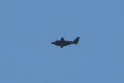 Morten 1 september 2021 - TerraTec over Høyenhall, klokken er 10.26. Fram og tilbake