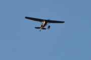 Morten 16 januar 2021 - Birddog over Høyenhall, men nå for jeg et besøk av det slaget jeg liker