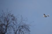 Morten 9 januar 2021 - LN-AZD over Høyenhall