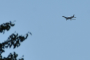 Morten 11 juli 2021 - LN-NAG over Høyenhall, dem har virkelig underholdt oss i dag og god tur tilbake :-)