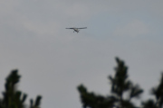 Morten 14 juli 2021 - LN-NRF over Høyenhall, jeg fikk deg ikke med en fugl, kanskje det var for sent