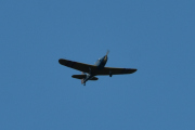 Morten 18 juli 2021 - LN-BIF over Sør-Odal