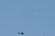 Morten 22 juli 2021 - Cessna over Høyenhall, jeg fikk den sammen med et par fugler