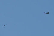 Morten 22 juli 2021 - LN-AZC over Høyenhall