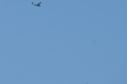 Morten 22 juli 2021 - Småfly over Høyenhall, men jeg fikk den sammen med en fugl nederst i bilde