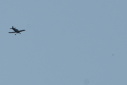 Morten 24 juli 2021 - LN-ABA over Høyenhall, vi får den sammen med en fugl