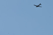 Morten 25 juli 2021 - LN-MAZ besøker Høyenhall, flere låvesvaler. Flyet er en D-modell, med 180 hk Lycoming O-360-motor og med fire seter